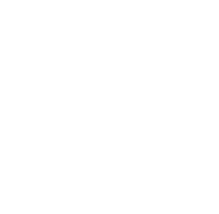 pedagogy